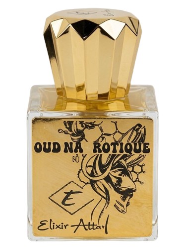 Oud N-Tique bottle