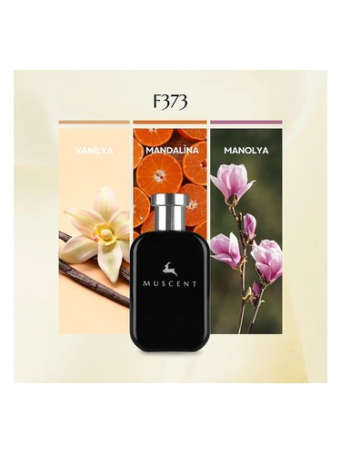 F373 bottle