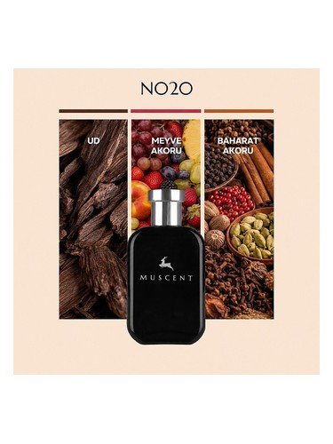 N020 bottle