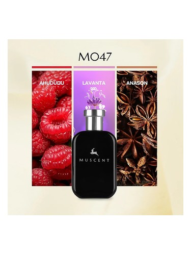 M047 bottle