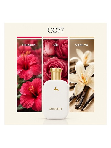C077 bottle