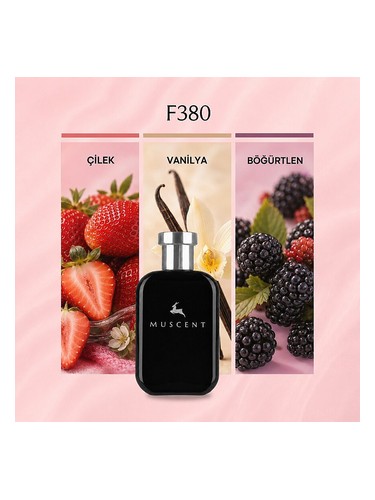 F380 bottle
