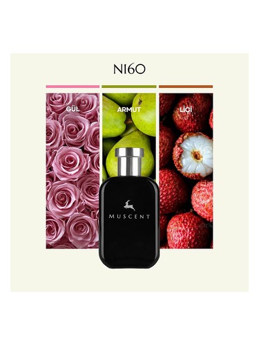 N160 bottle
