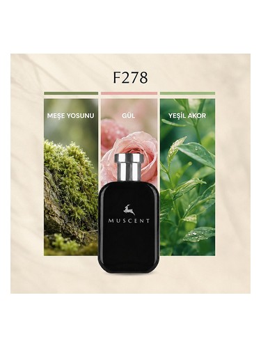 F278 bottle