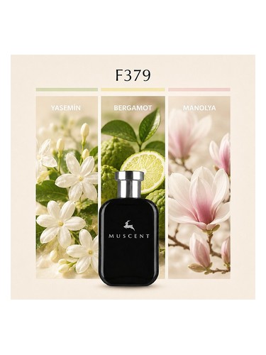 F379 bottle