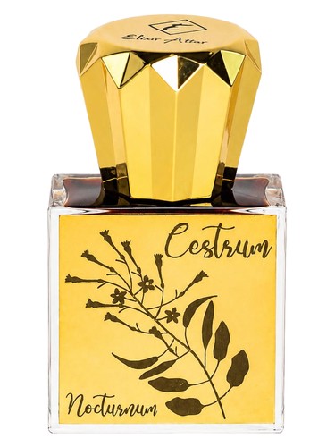 Cestrum Nocturnum bottle