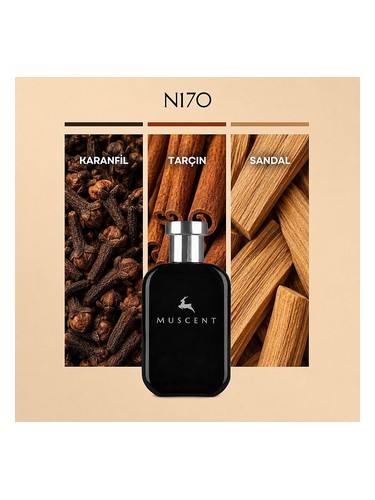 N170 bottle