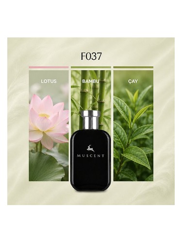 F037 bottle