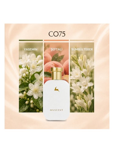 C075 bottle