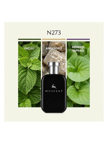 N273 bottle