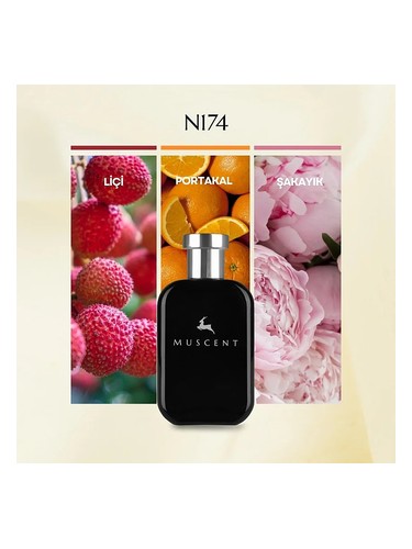 N174 bottle