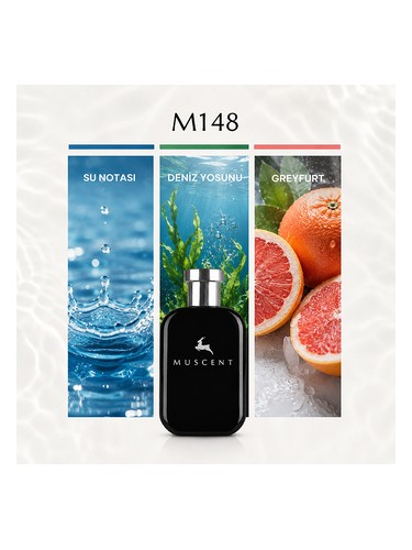 M148 bottle