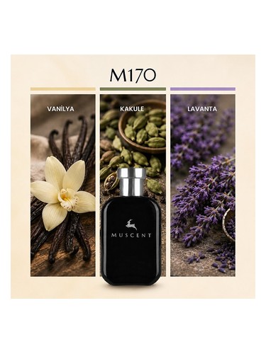 M170 bottle
