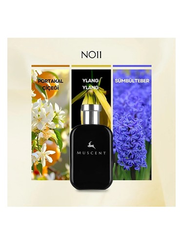 N011 bottle