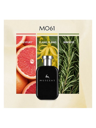 M061 bottle