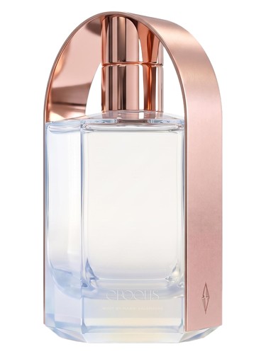 Croquis bottle