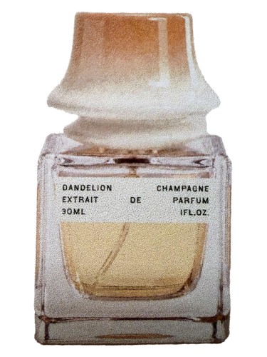 Dandelion Champagne bottle