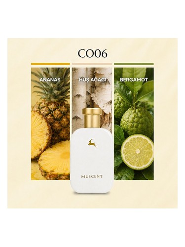 C006 bottle