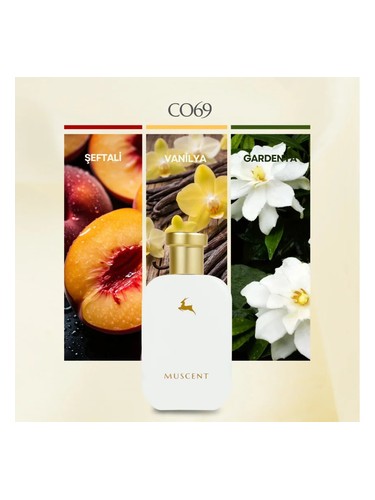 C069 bottle
