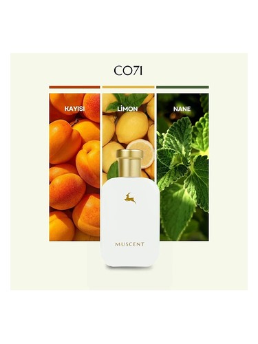 C071 bottle