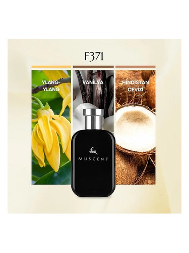 F371 bottle