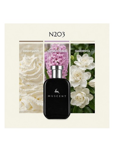 N203 bottle