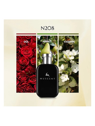N208 bottle