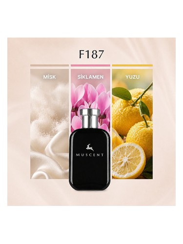 F187 bottle