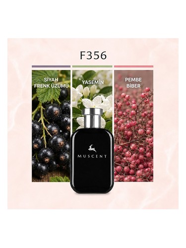 F356 bottle