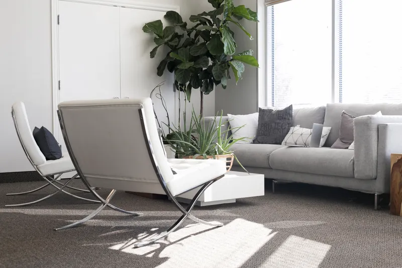 Design da Saúde: Como decorar clínicas e consultórios