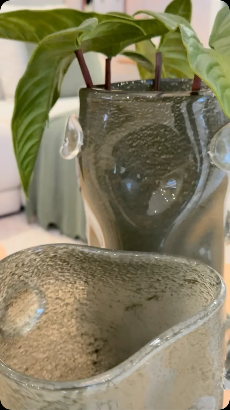 Como escolher vasos decorativos para decoração de casa.