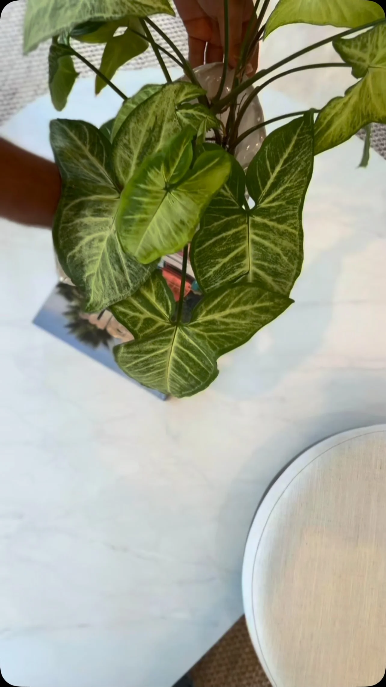 Como escolher uma mesa de centro branca para sala de estar