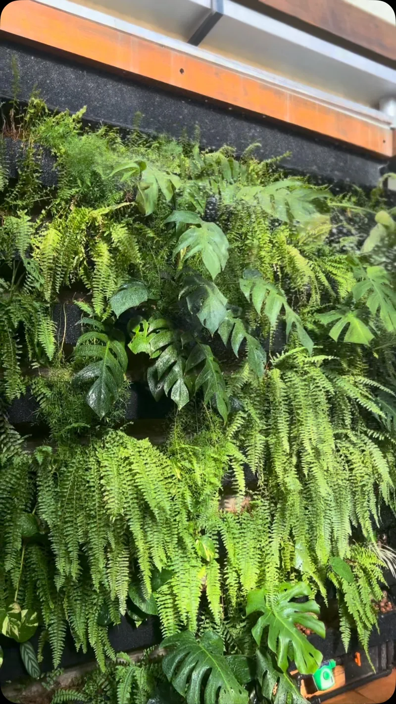 Como escolher Revestimento Cristal para jardim vertical