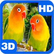 Parrots Agapornis Fischeri Bright Couple icon