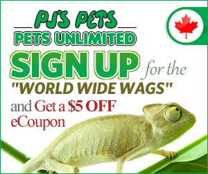 PJ’s Pets World Wide Wags eNewsletter