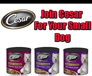 Join Cesar For Your Small Dog