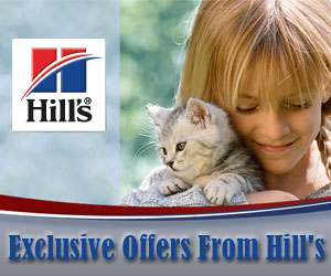 Exclusive Offers From Hill’s