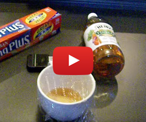 The Simple Solution To Your Fruit Fly Problem