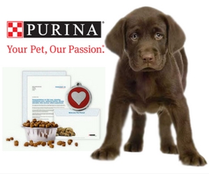 Purina-Puppy