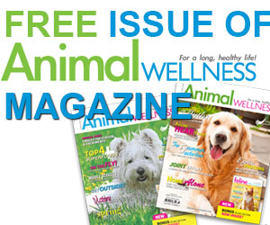 get-a-free-issue-of-animal-wellness-magazine-300x250