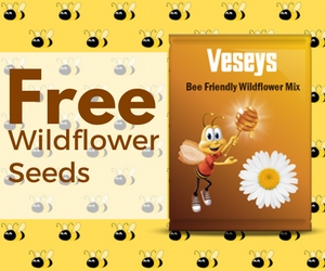 Free Veseys Wildflower Seeds From Cheerios