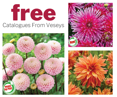 Request A Free Bulbs & Seeds Catalogue From Veseys