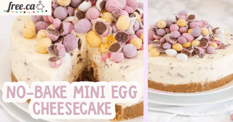 No Bake Mini Egg Cheesecake Easter Dessert Recipe