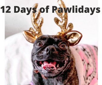 12 Days of Pawlidays Contest