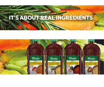 FREE Sample of Knorr Professional Bases