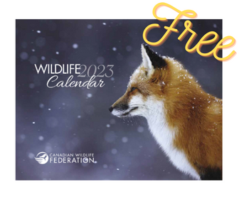 FREE 2023 Canadian Wildlife Federation Calendar