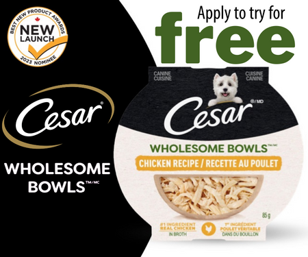 Apply to Try Cesar Wholesome Bowls Chicken Recipe Wet Dog Food For Free