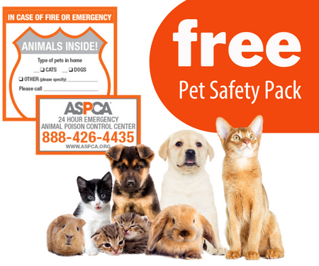 Free Pet Safety Pack from the ASPCA