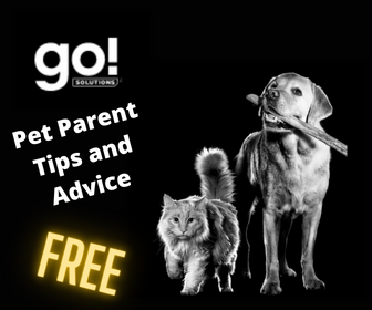 Get Pet Parent Tips and Advice from Go Solutions