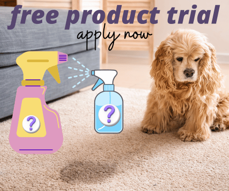 Pet Stain Remover: Product Trial